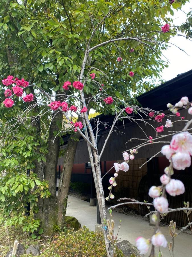 Готель Yufuin Ryoan Wazanho Ойта Екстер'єр фото